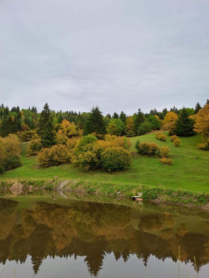 Cabane Areama Neagra Izvoru Mureşului Dış mekan fotoğraf