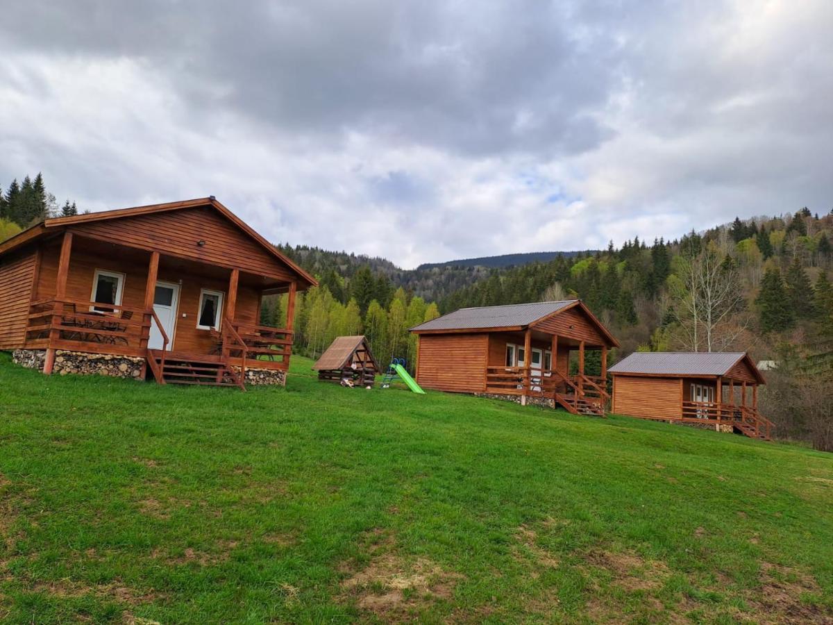 Cabane Areama Neagra Izvoru Mureşului Dış mekan fotoğraf
