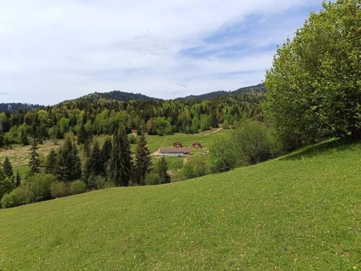 Cabane Areama Neagra Izvoru Mureşului Dış mekan fotoğraf