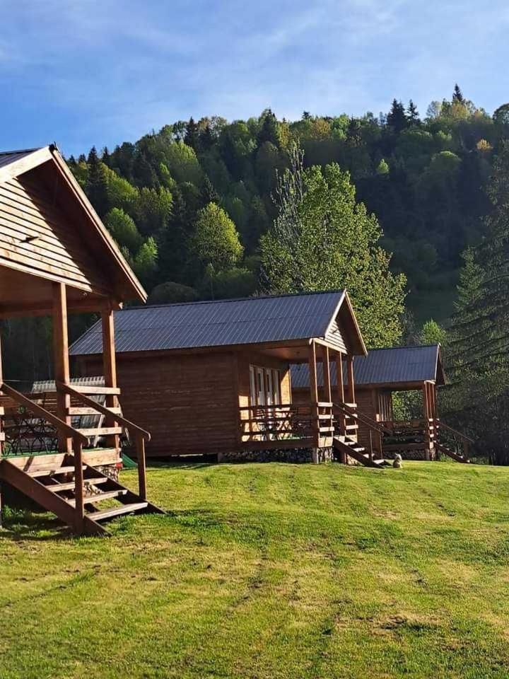 Cabane Areama Neagra Izvoru Mureşului Dış mekan fotoğraf