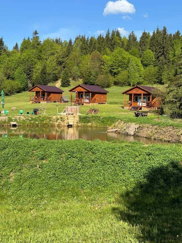 Cabane Areama Neagra Izvoru Mureşului Dış mekan fotoğraf